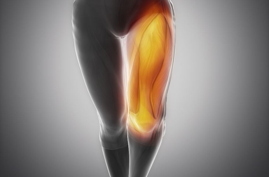 Leg press quadriceps vrouw