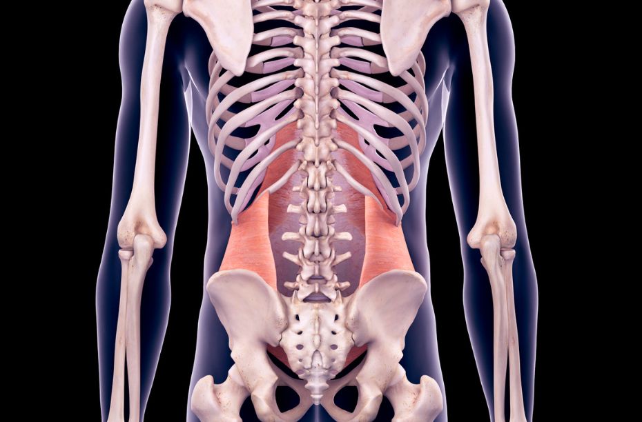 Transversus Abdominis core
