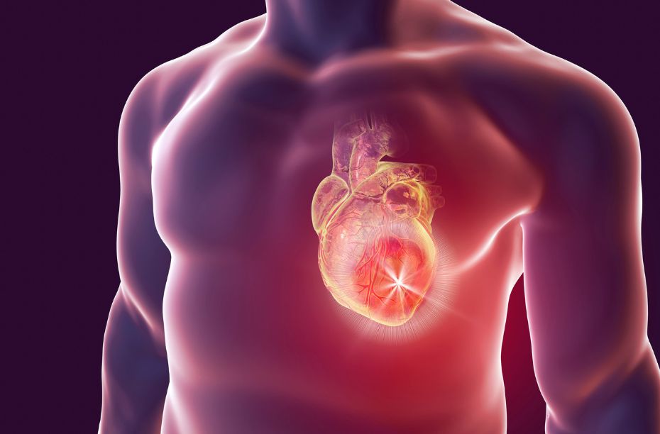 cardiovasculaire gezondheid